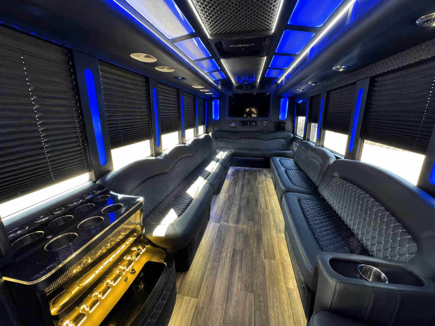 Passenger watching the Detroit scenery during a regional party bus road trip
