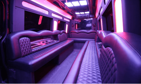 Detroit 14 Passenger Sprinter Bus Interior