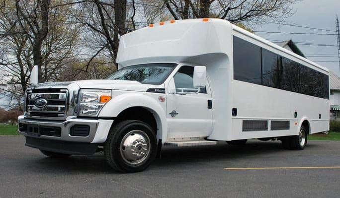 Detroit 20 Passenger Party Bus